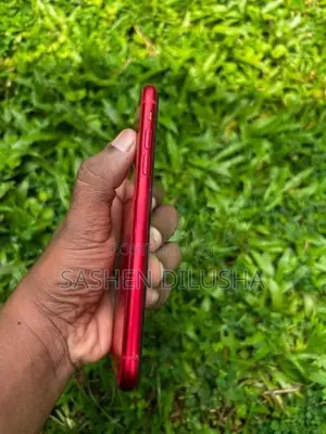 Apple iPhone 11 (Used)