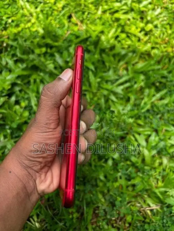Apple iPhone 11 (Used)