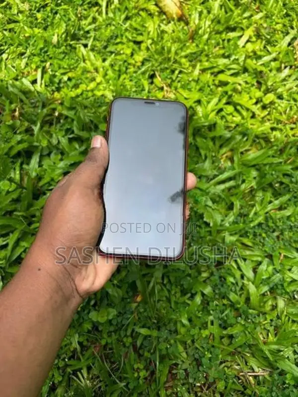Apple iPhone 11 (Used)