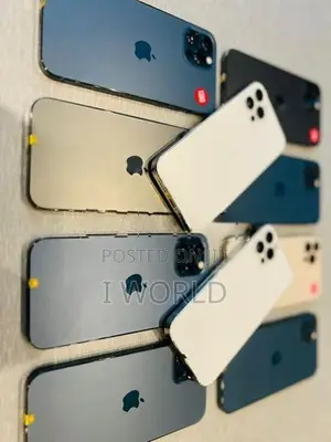 Apple iPhone 13 Pro Max 256GB (Used)