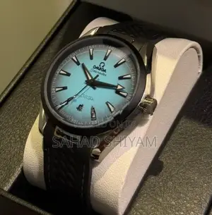 Omega Seamaster Aqua Terra