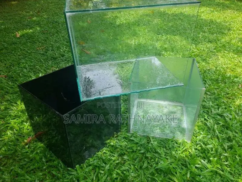 Fish Tank