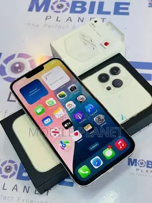Apple iPhone 13 Pro Max 256GB (Used)
