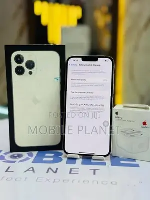 Apple iPhone 13 Pro Max 256GB (Used)