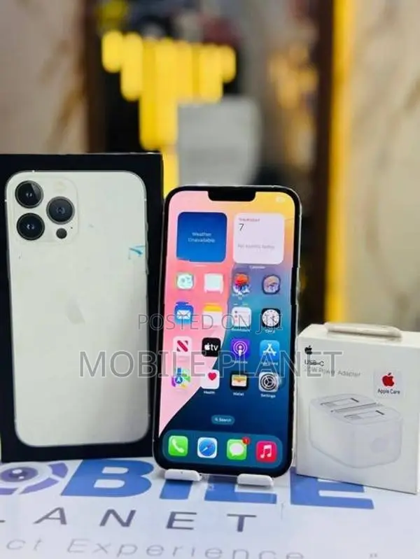 Apple iPhone 13 Pro Max 256GB (Used)