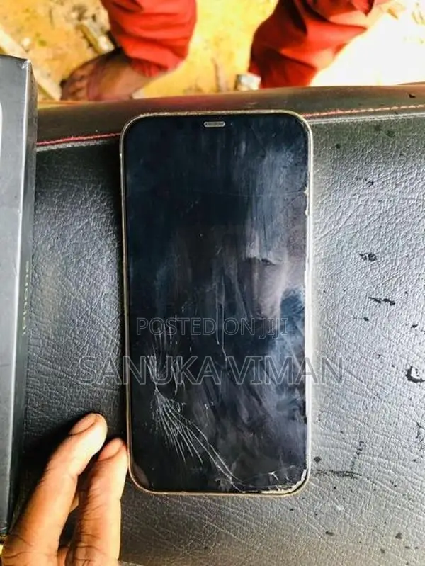 Apple iPhone 12 Pro Max (Used)