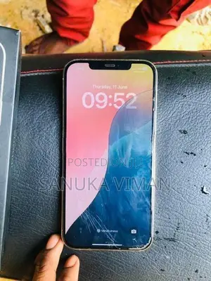 Apple iPhone 12 Pro Max (Used)