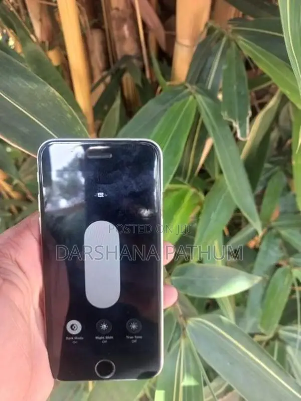 Apple iPhone SE 2 (Used)