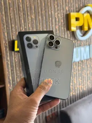Apple iPhone 13 Pro Max 256GB (Used)