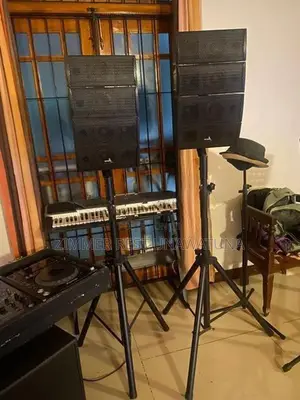Avox Line Array Setup
