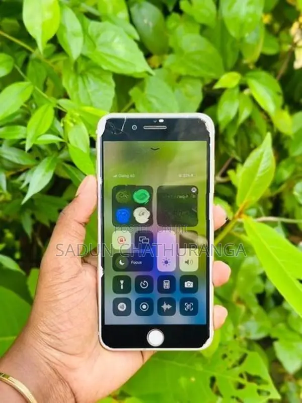 Apple iPhone 7 Plus (Used)