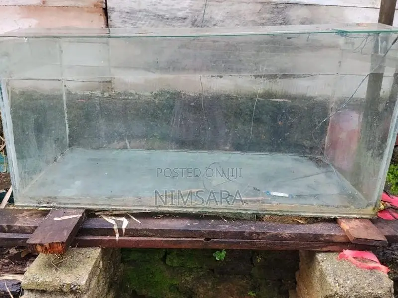 මාළු ටැංකියක් විකිනිමට