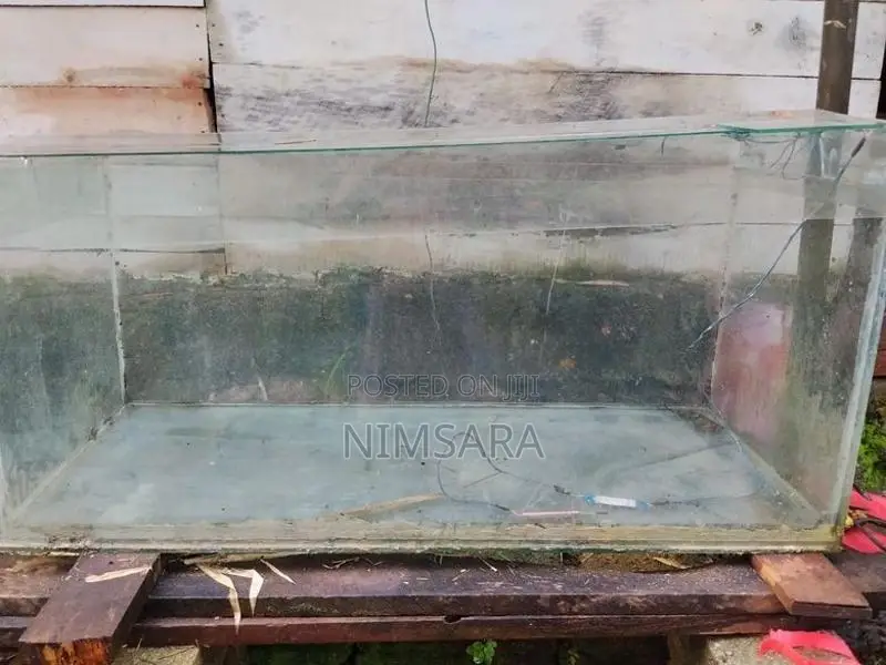 මාළු ටැංකියක් විකිනිමට