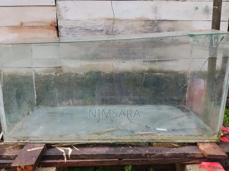 මාළු ටැංකියක් විකිනිමට