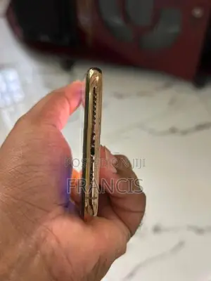 Apple iPhone XS Max (Used)