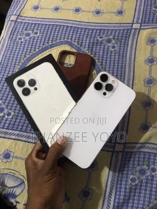 Apple iPhone 13 Pro Max 256 GB (Used)