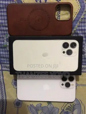 Apple iPhone 13 Pro Max 256 GB (Used)