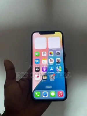 Apple iPhone 12 (Used)