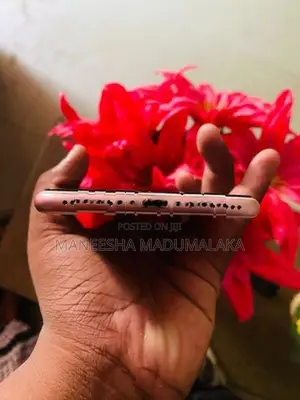Apple iPhone 7 Plus (Used)