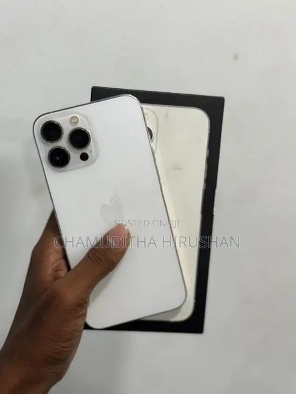 Apple iPhone 13 Pro Max 256 gb (Used)