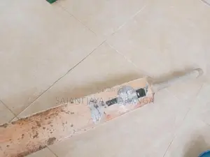 SG Cricket Bat