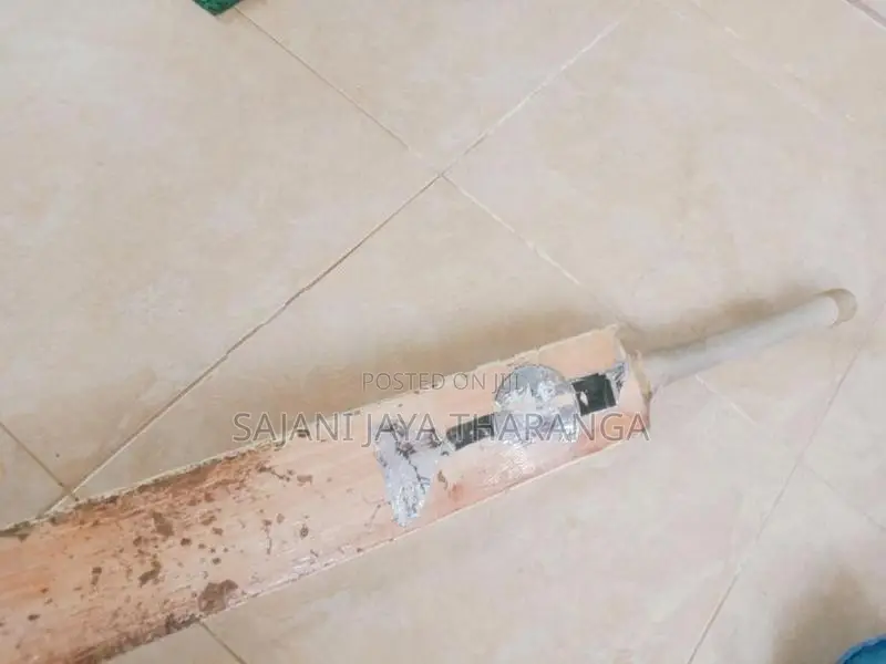 SG Cricket Bat