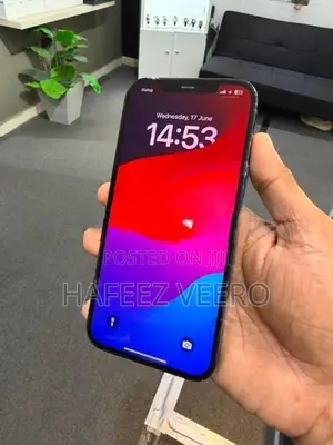 Apple iPhone 12 Pro Max (Used)