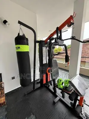 Home Gym 3 Station Pro with 40kg Punching Bag