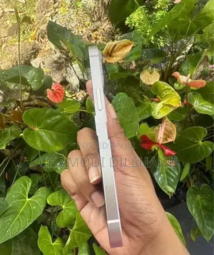 Apple iPhone 13 (Used)