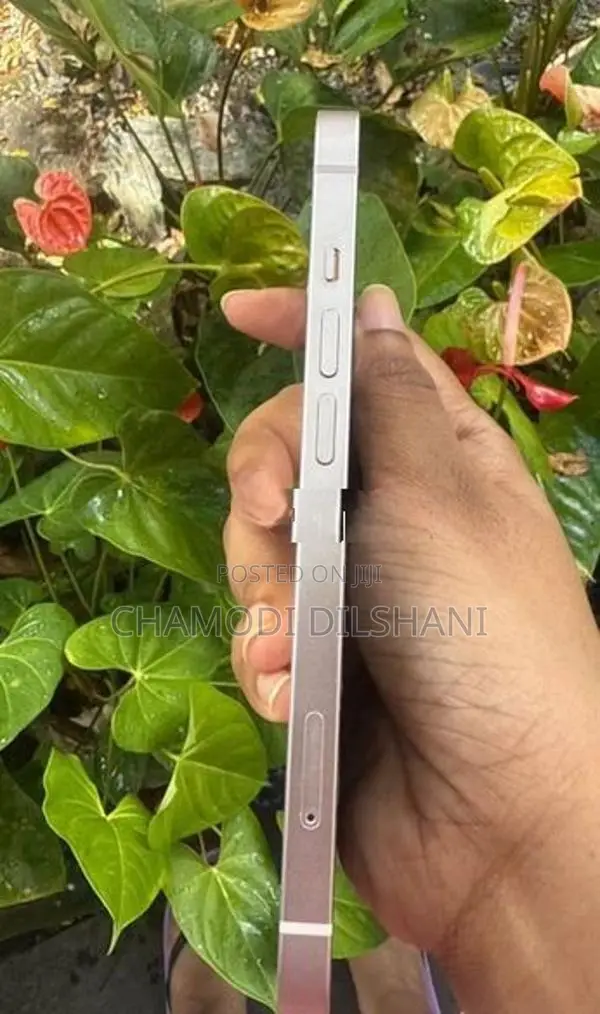 Apple iPhone 13 (Used)