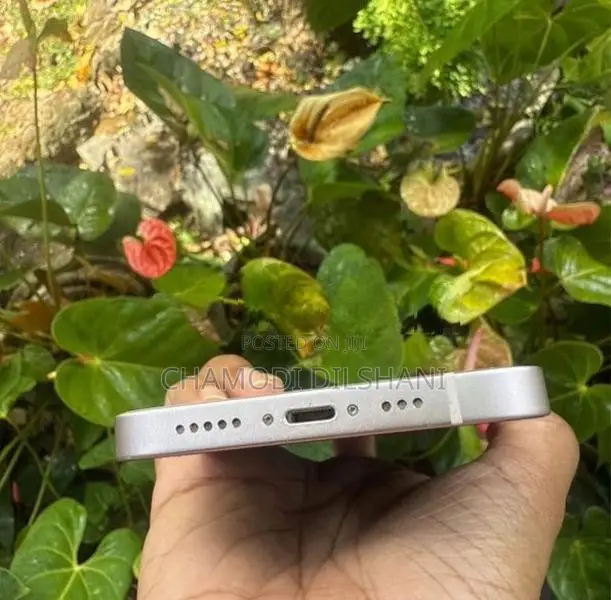 Apple iPhone 13 (Used)