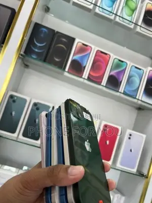 Apple iPhone 13 (Used)