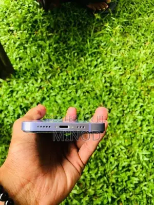 Apple iPhone 12 (Used)