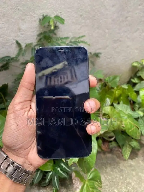 Apple iPhone 12 (Used)
