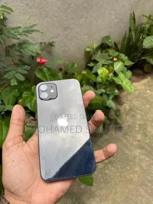 Apple iPhone 12 (Used)