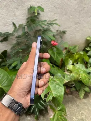 Apple iPhone 12 (Used)