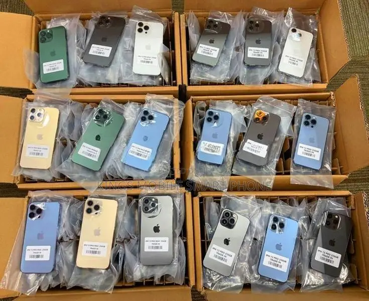 Apple iPhone 13 Pro 256GB (Used)