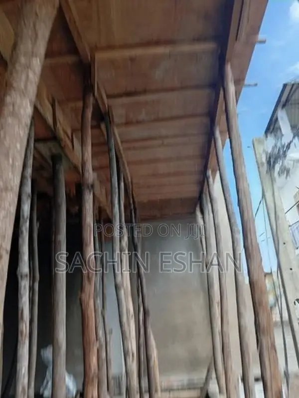 සැටලින්