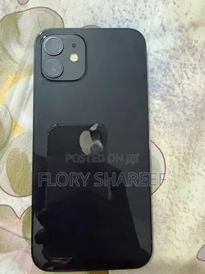 Apple iPhone 12 (Used)
