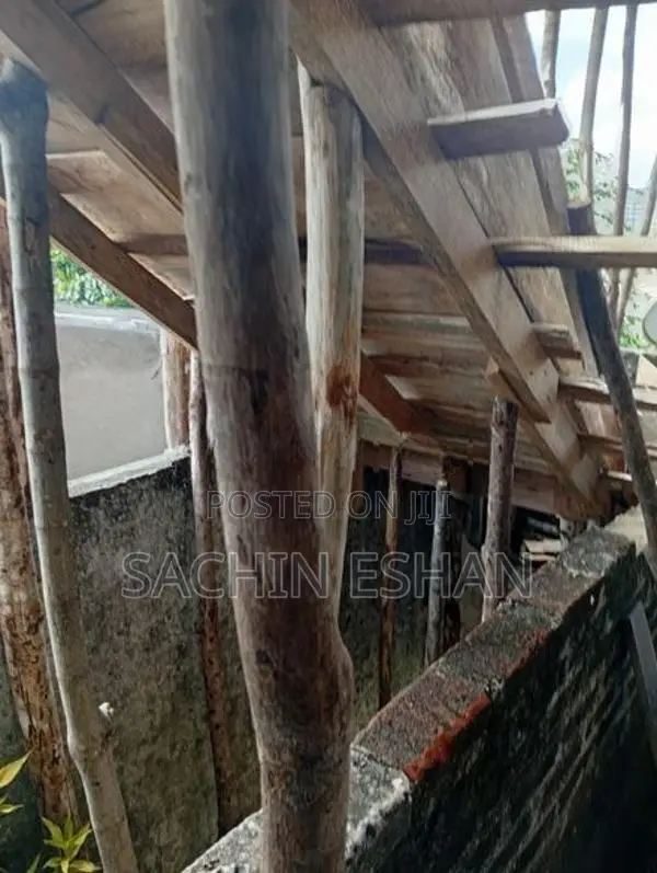 සැටලින්