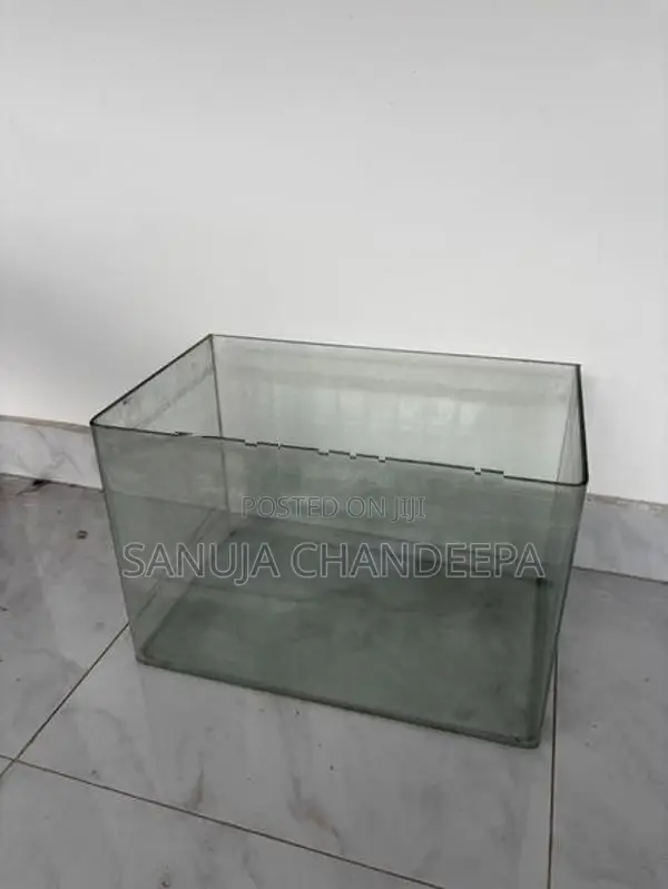 Fish Tanks