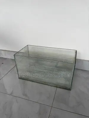 Fish Tanks