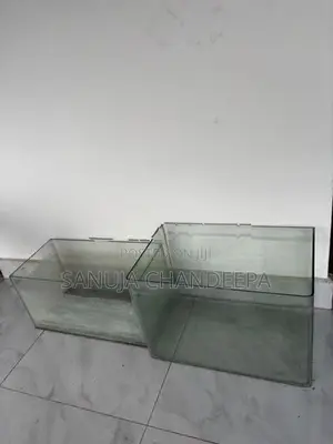 Fish Tanks
