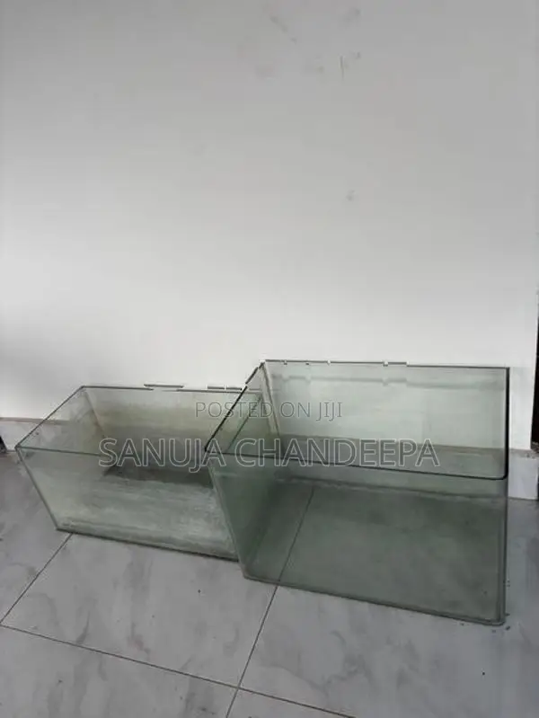 Fish Tanks