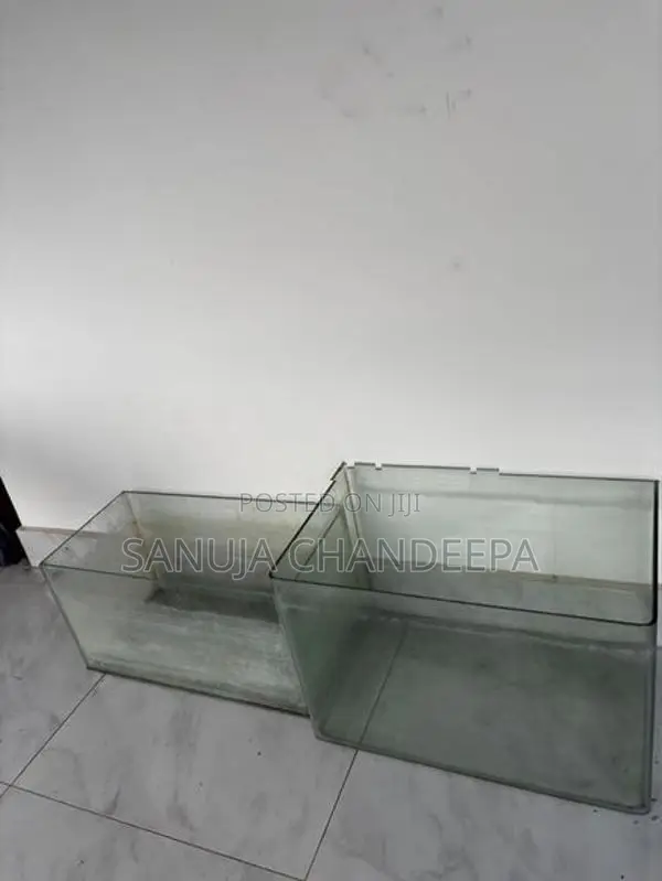 Fish Tanks