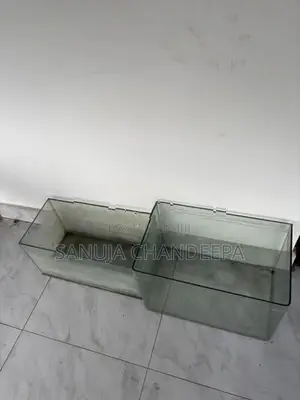 Fish Tanks