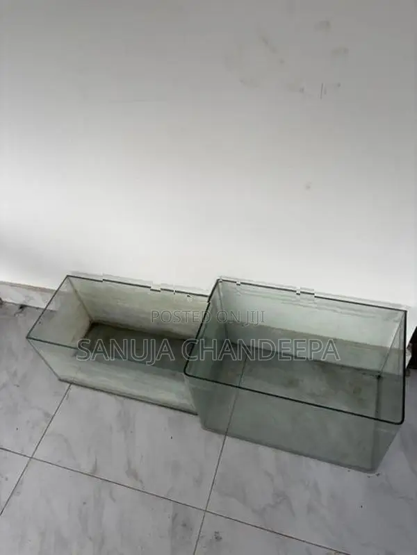 Fish Tanks