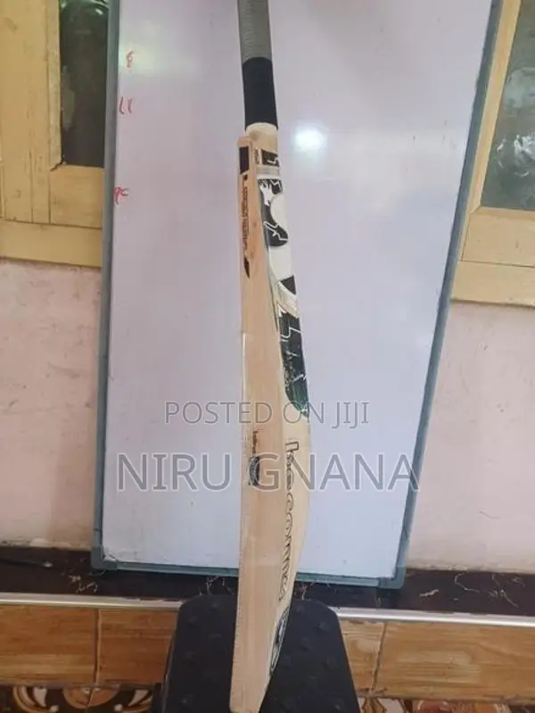English Willow Cricket Bat
