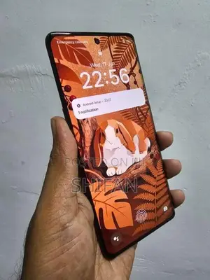 Oppo Reno 8 T (Used)