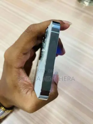 Apple iPhone 13 Pro (Used)